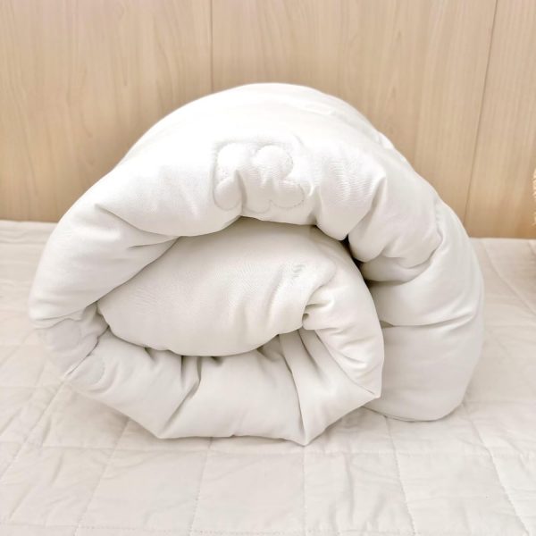 BuLuTu Lightweight White Down Alternative Toddler Comforter Duvet Insert