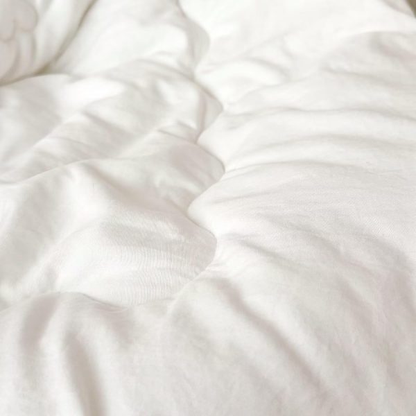 BuLuTu Lightweight White Down Alternative Toddler Comforter Duvet Insert