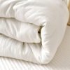 BuLuTu Lightweight White Down Alternative Toddler Comforter Duvet Insert